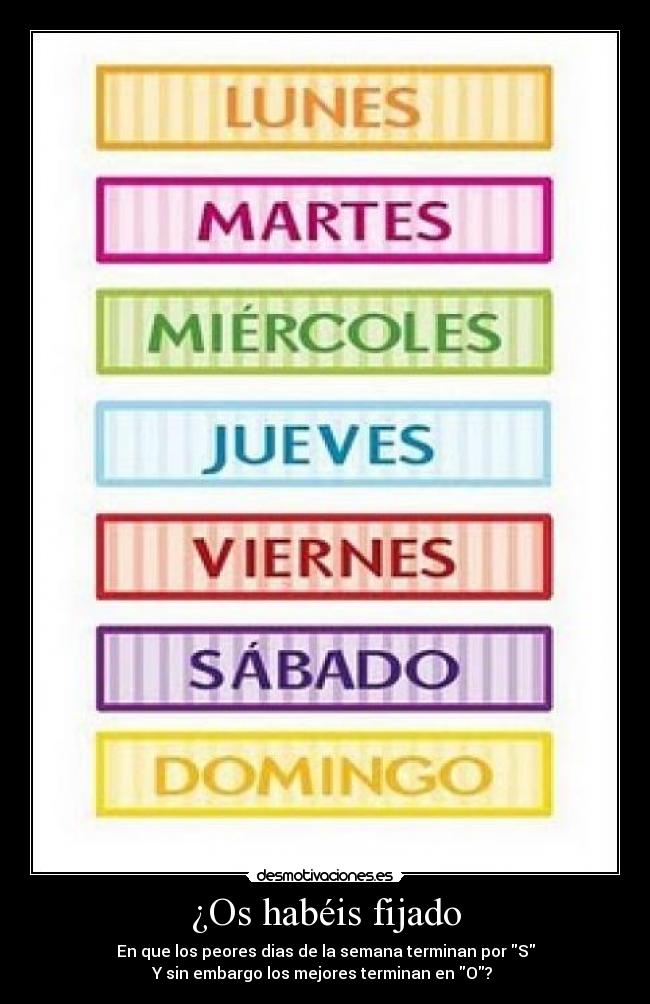 ¿Os habéis fijado -