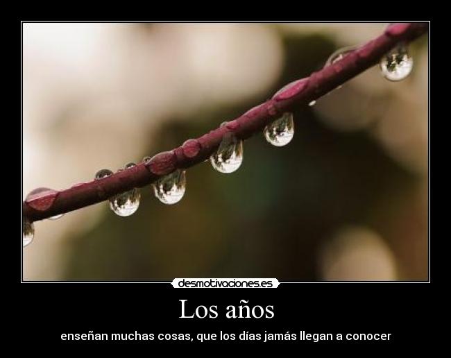 Los años - 