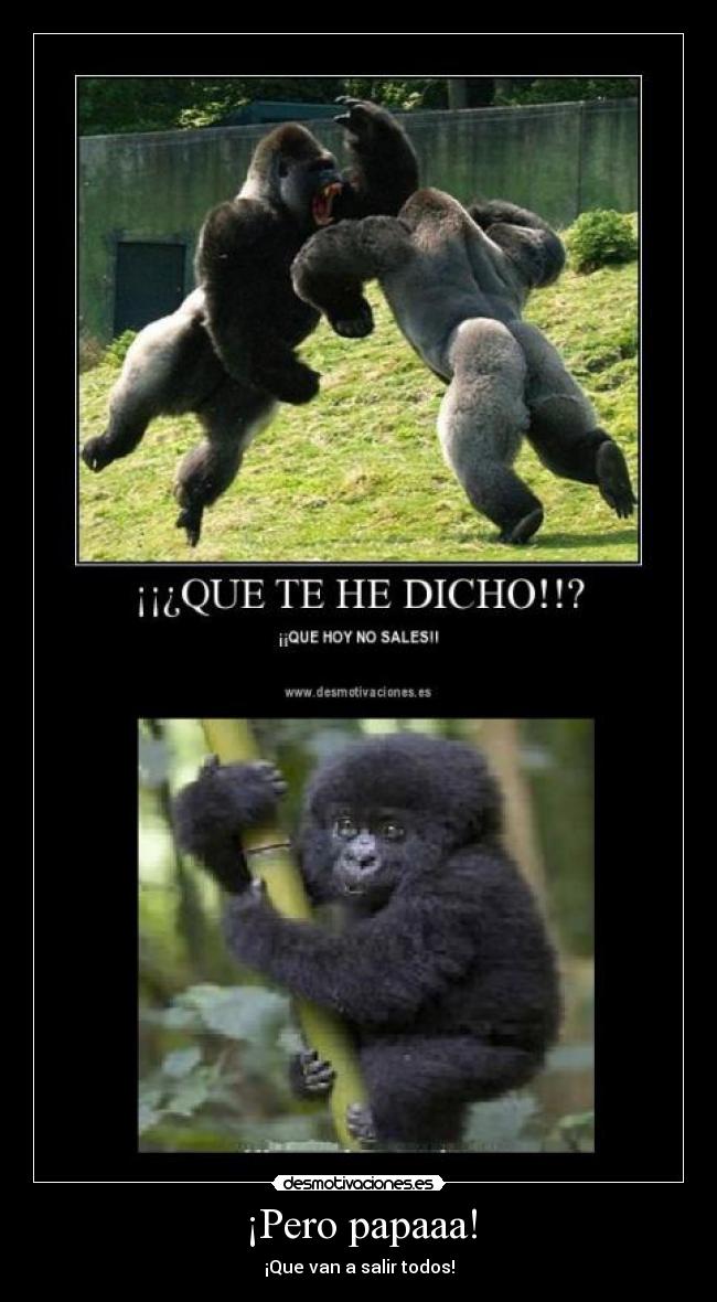 ¡Pero papaaa! - ¡Que van a salir todos!