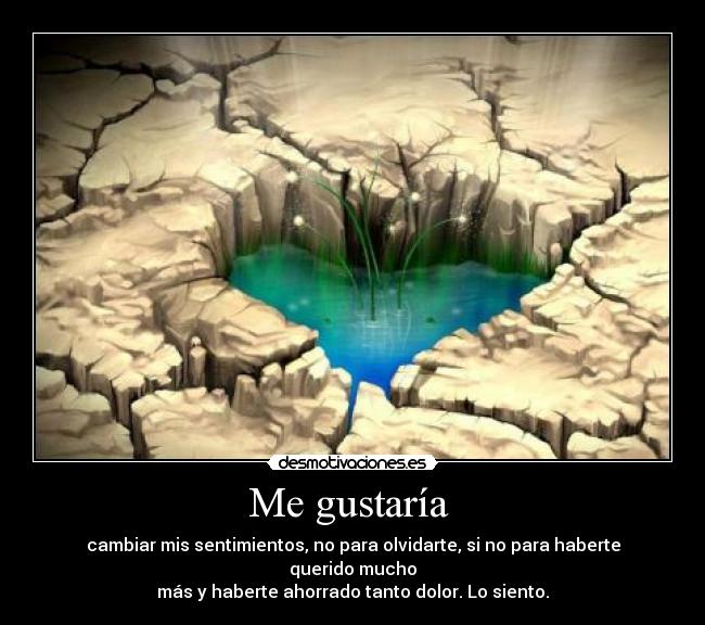 Me gustaría  - cambiar mis sentimientos, no para olvidarte, si no para haberte querido mucho
más y haberte ahorrado tanto dolor. Lo siento.