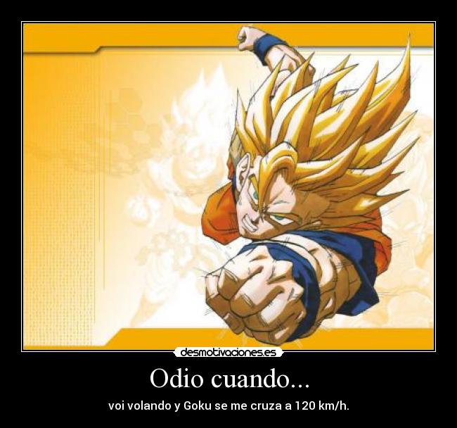 Odio cuando... - voi volando y Goku se me cruza a 120 km/h.