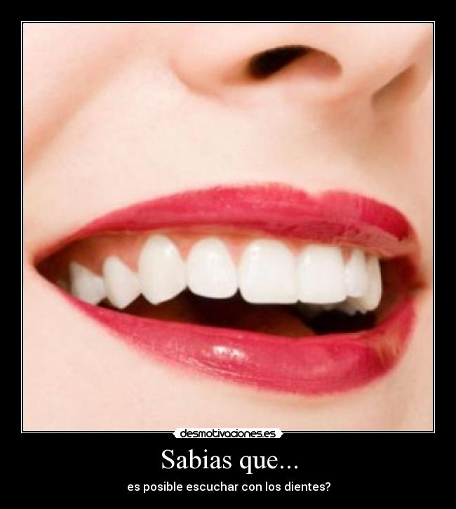 Sabias que... - es posible escuchar con los dientes?