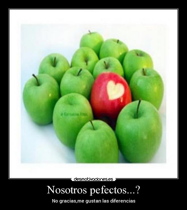 Nosotros pefectos...? - No gracias,me gustan las diferencias