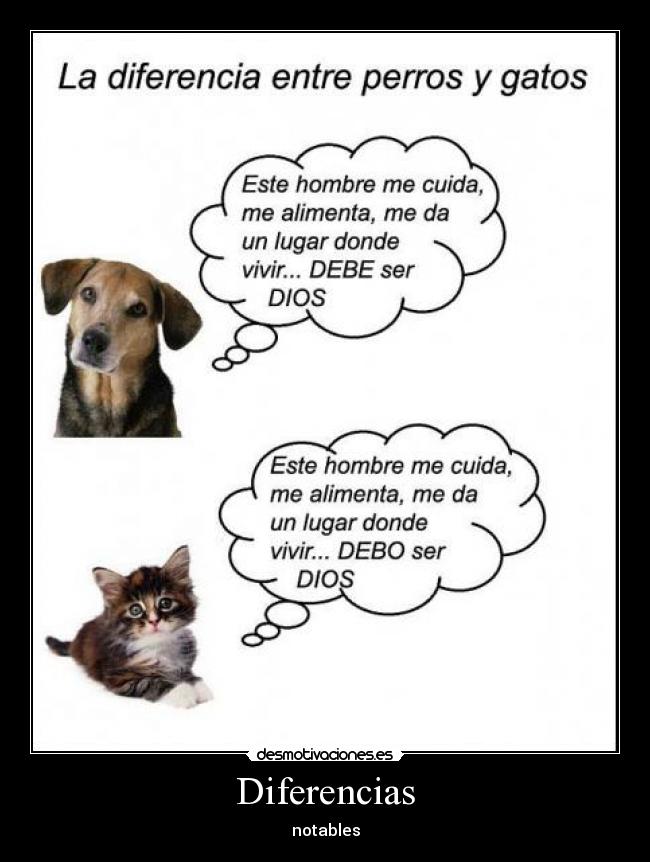 Diferencias - notables