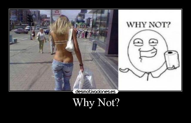 Why Not? - 