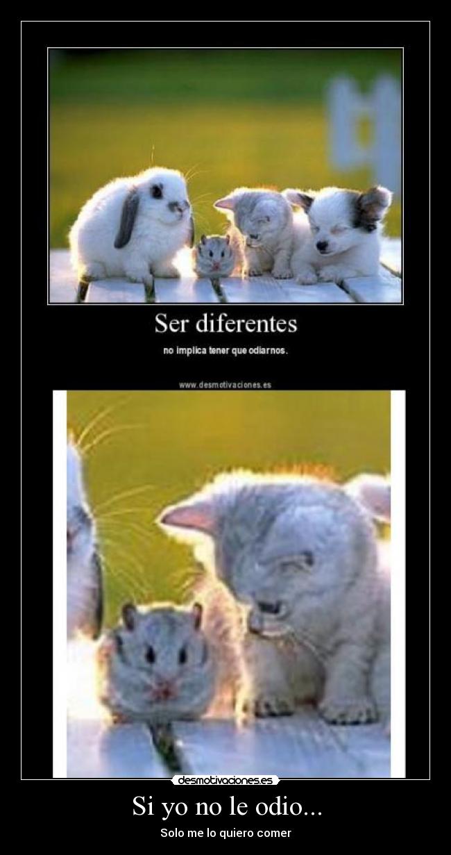 Si yo no le odio... - Solo me lo quiero comer