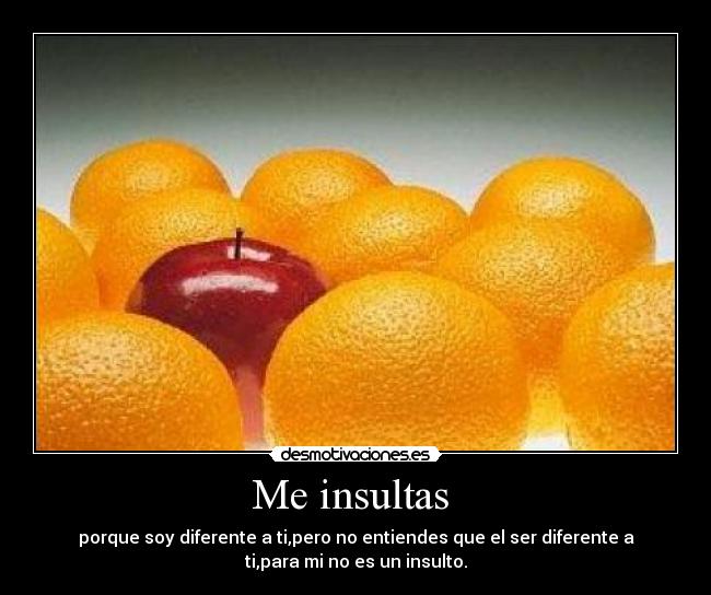 Me insultas - porque soy diferente a ti,pero no entiendes que el ser diferente a
ti,para mi no es un insulto.