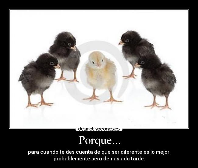 Porque... -