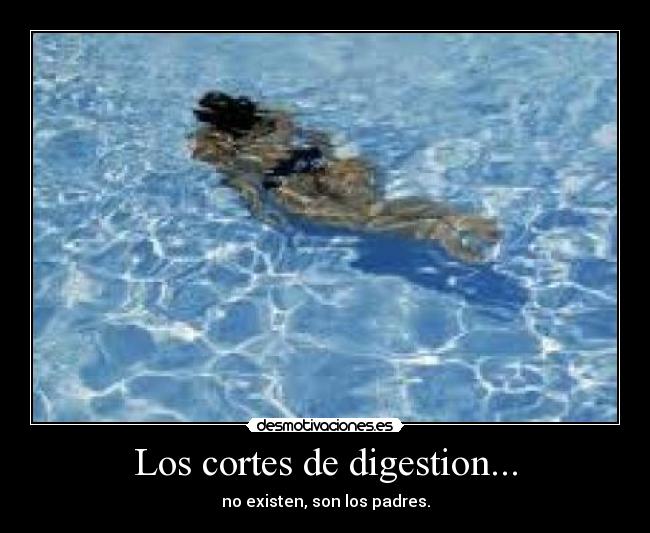 Los cortes de digestion... -