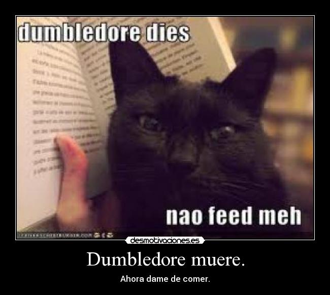 Dumbledore muere. -