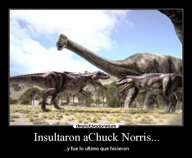 Insultaron aChuck Norris... - ...y fue lo ultimo que hicieron