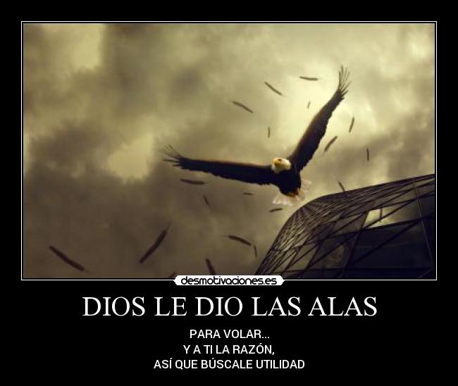 DIOS LE DIO LAS ALAS - 