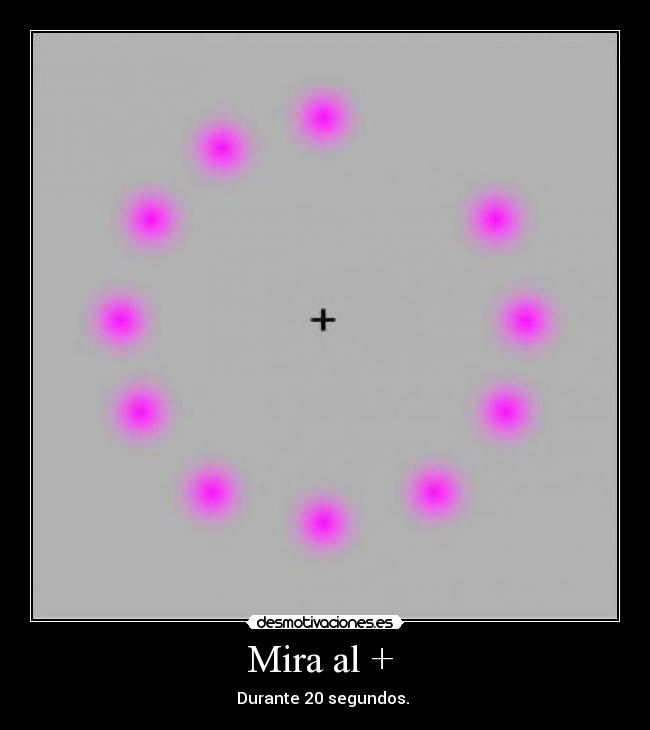 Mira al +  - Durante 20 segundos. 