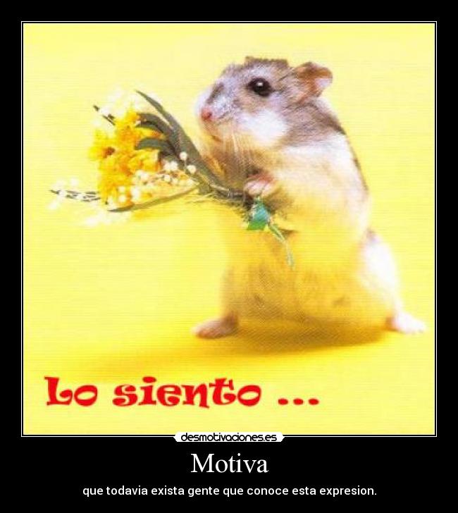 carteles motivaciones desmptivaciones perdon desmotivaciones