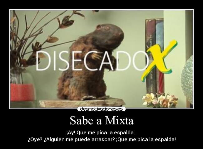 Sabe a Mixta - 