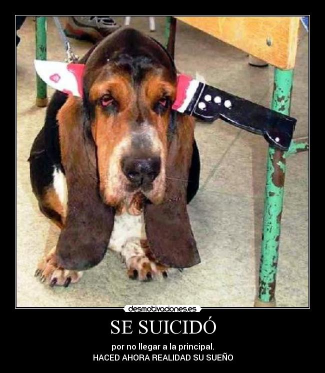 SE SUICIDÓ - por no llegar a la principal.
HACED AHORA REALIDAD SU SUEÑO