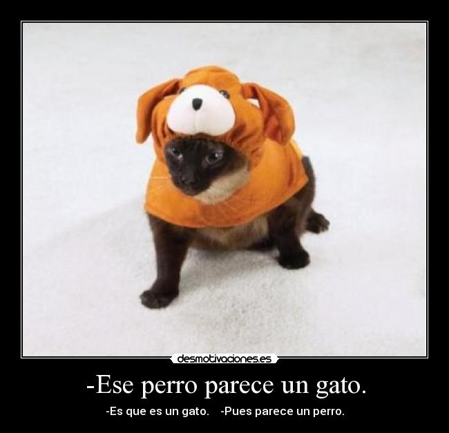 -Ese perro parece un gato. - 