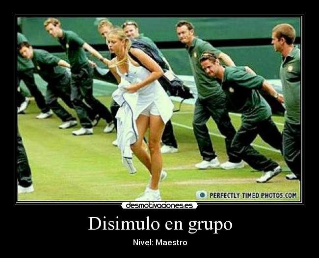 Disimulo en grupo -