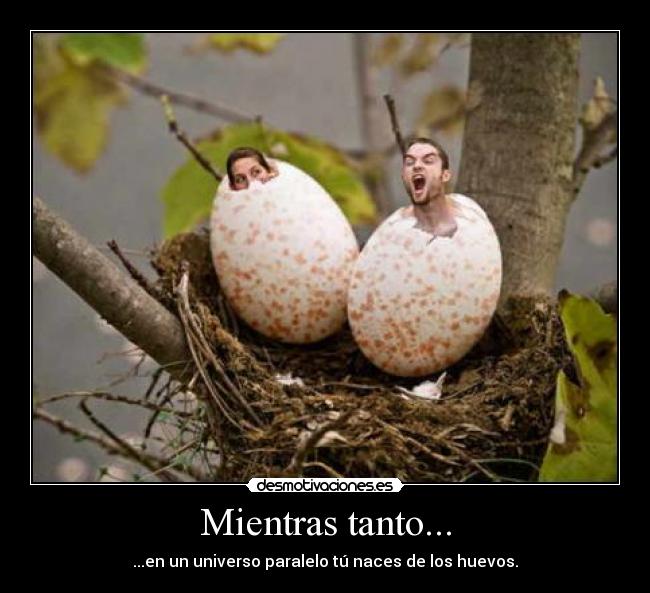 Mientras tanto... - ...en un universo paralelo tú naces de los huevos.