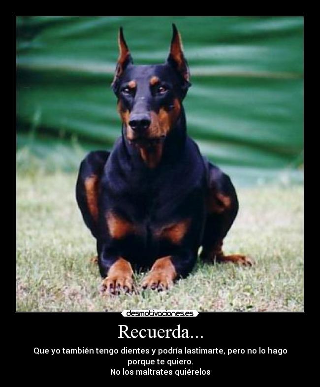 Recuerda... -
