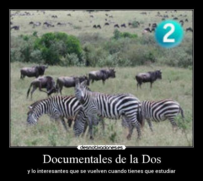 Documentales de la Dos - y lo interesantes que se vuelven cuando tienes que estudiar