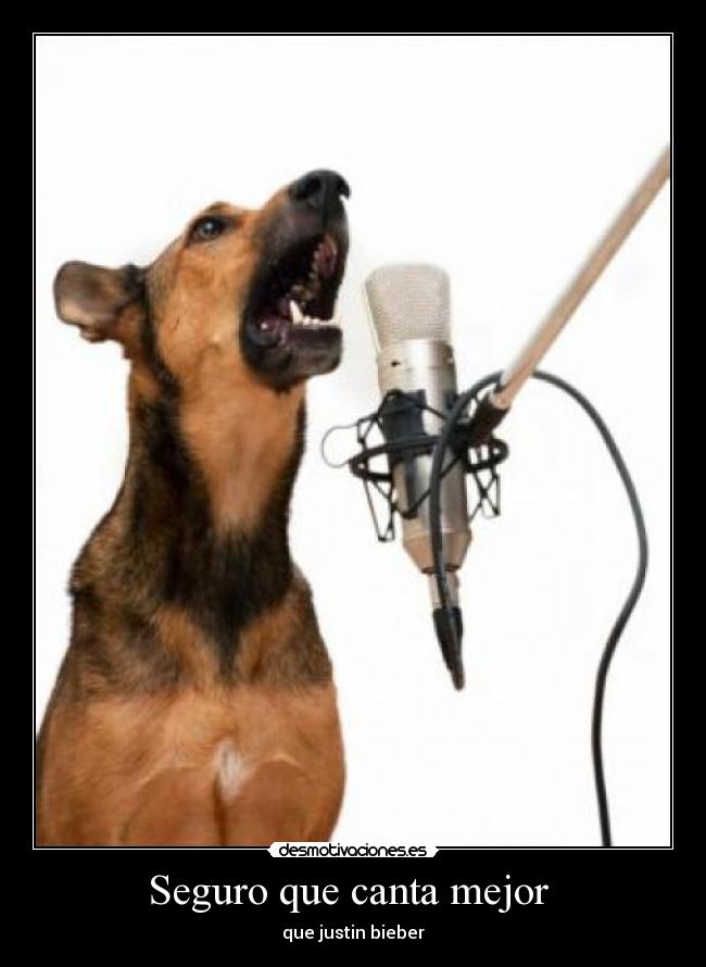 Seguro que canta mejor  - 