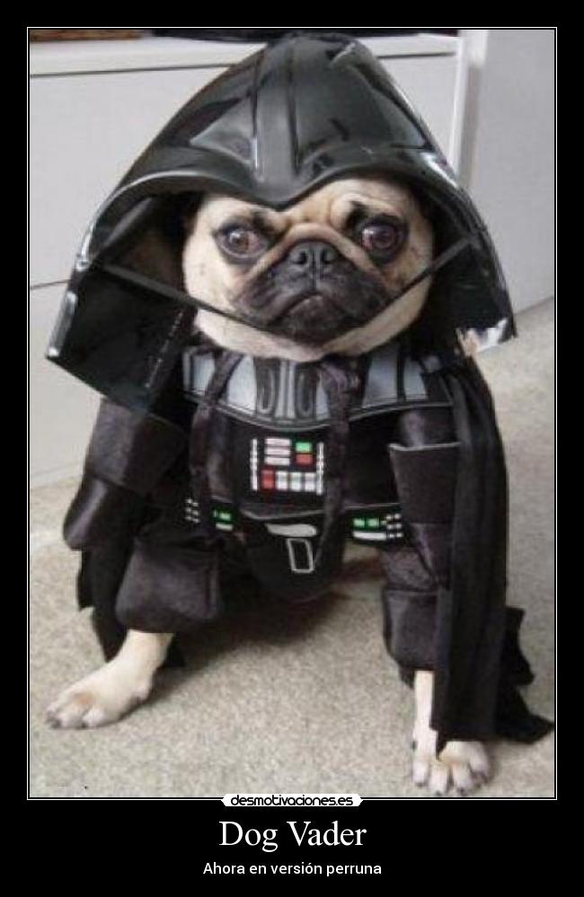 carteles dog vader desmotivaciones
