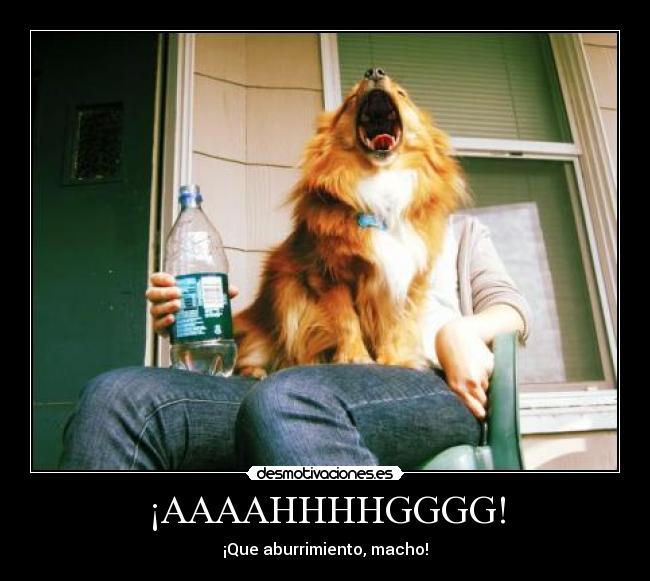 ¡AAAAHHHHGGGG! - ¡Que aburrimiento, macho!