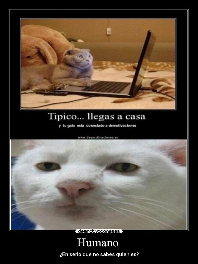 carteles walt_k desmotivaciones