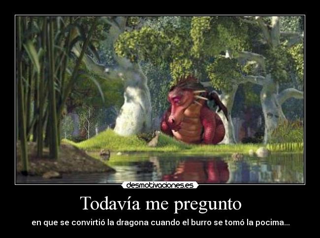 Todavía me pregunto -