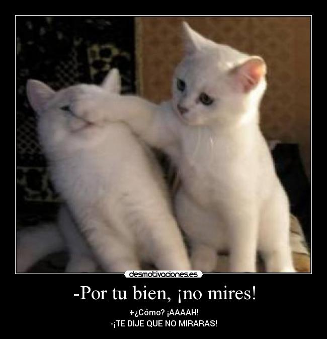 -Por tu bien, ¡no mires! - +¿Cómo? ¡AAAAH!
-¡TE DIJE QUE NO MIRARAS!