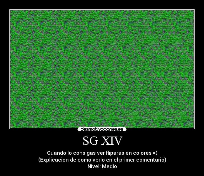 SG XIV - Cuando lo consigas ver fliparas en colores =)
(Explicacion de como verlo en el primer comentario)
Nivel: Medio