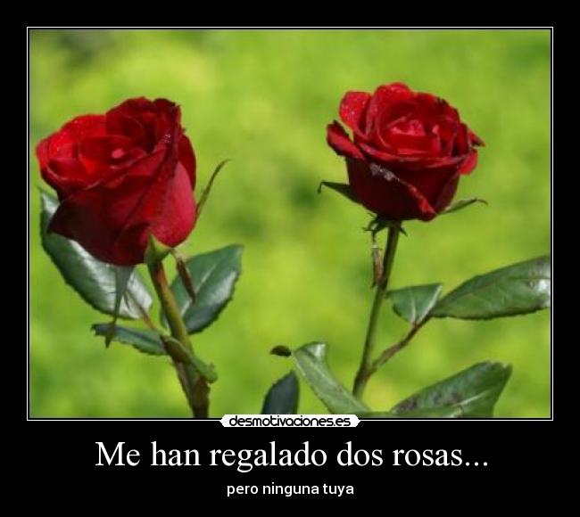 Me han regalado dos rosas... - pero ninguna tuya