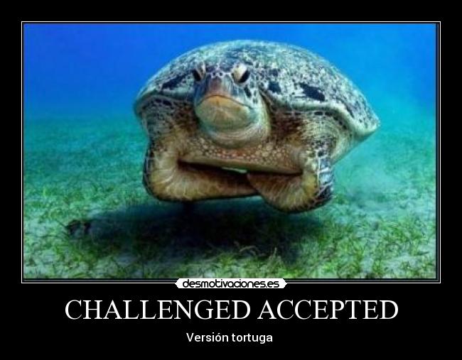 carteles tortu desmotivaciones