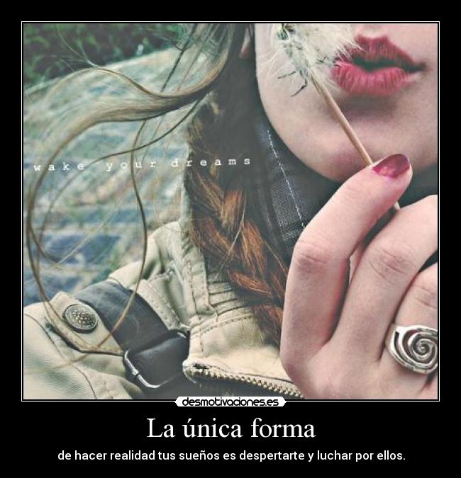 carteles dream desmotivaciones