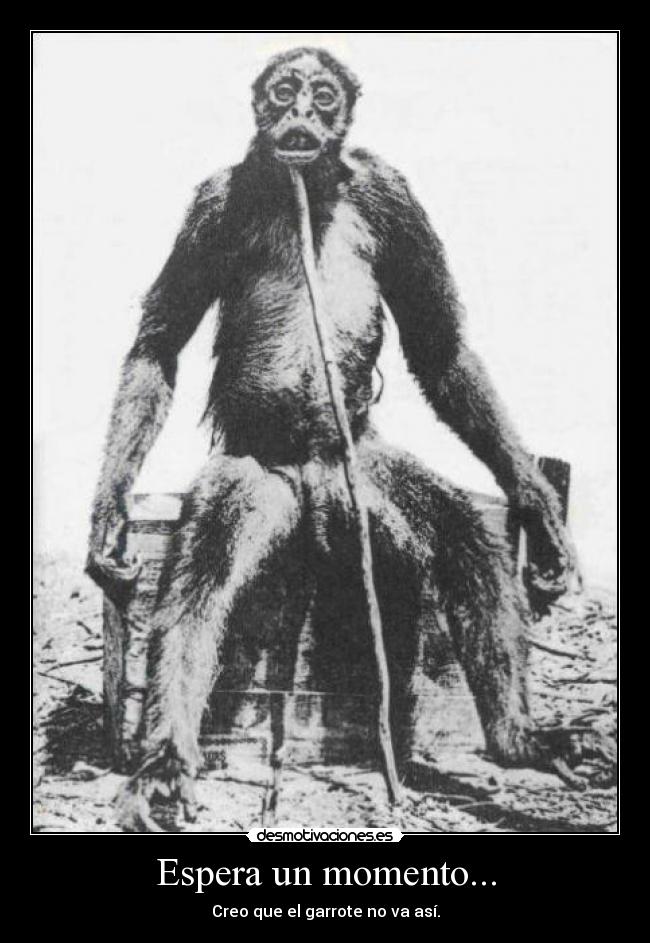 Espera un momento... - Creo que el garrote no va así.