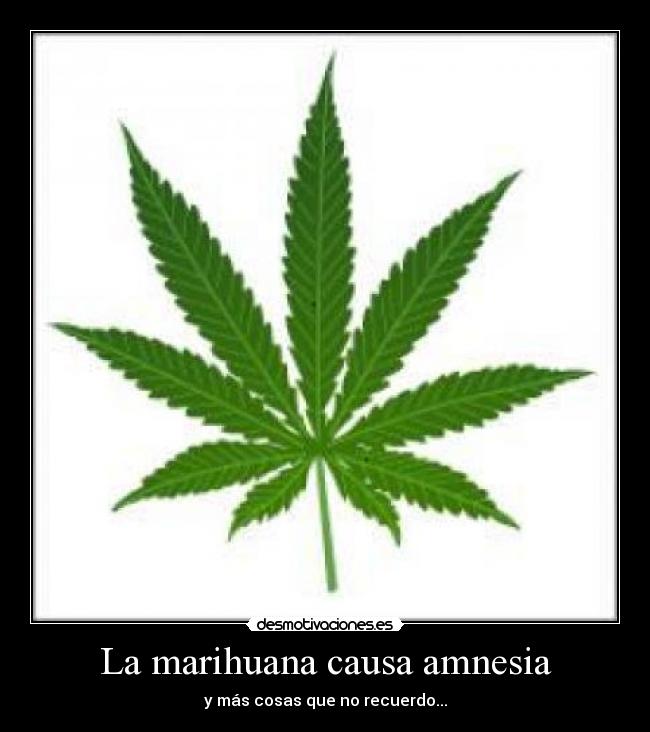 La marihuana causa amnesia - y más cosas que no recuerdo...