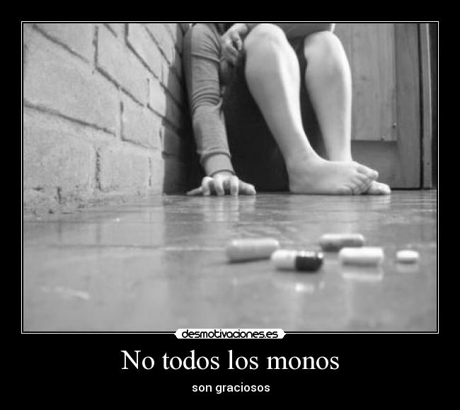 No todos los monos - 