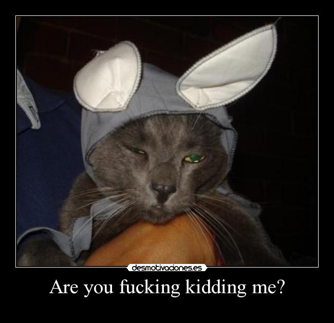 Are you fucking kidding me? -