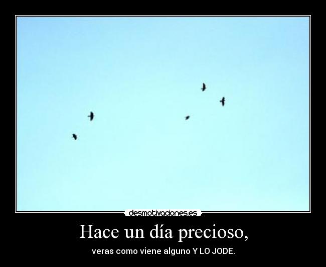 Hace un día precioso, -