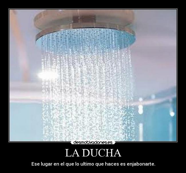 carteles ducha desmotivaciones