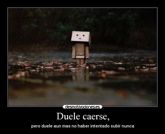 Duele caerse, - pero duele aun mas no haber intentado subir nunca