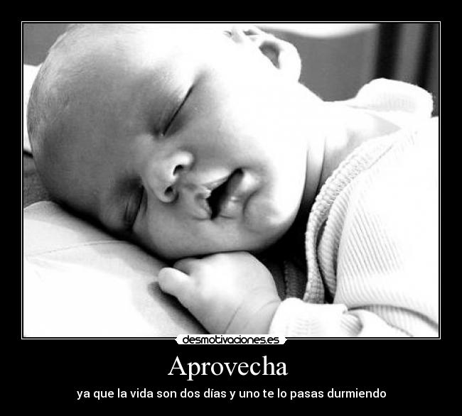 Aprovecha  - 