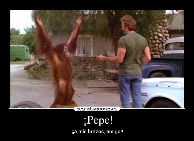 carteles orangutan desmotivaciones