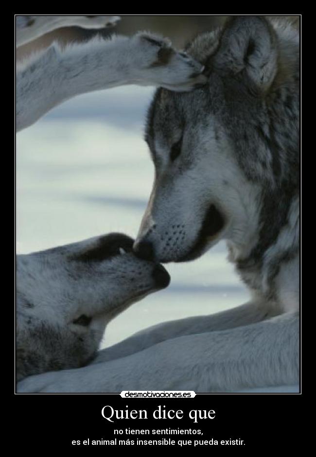 carteles animales desmotivaciones