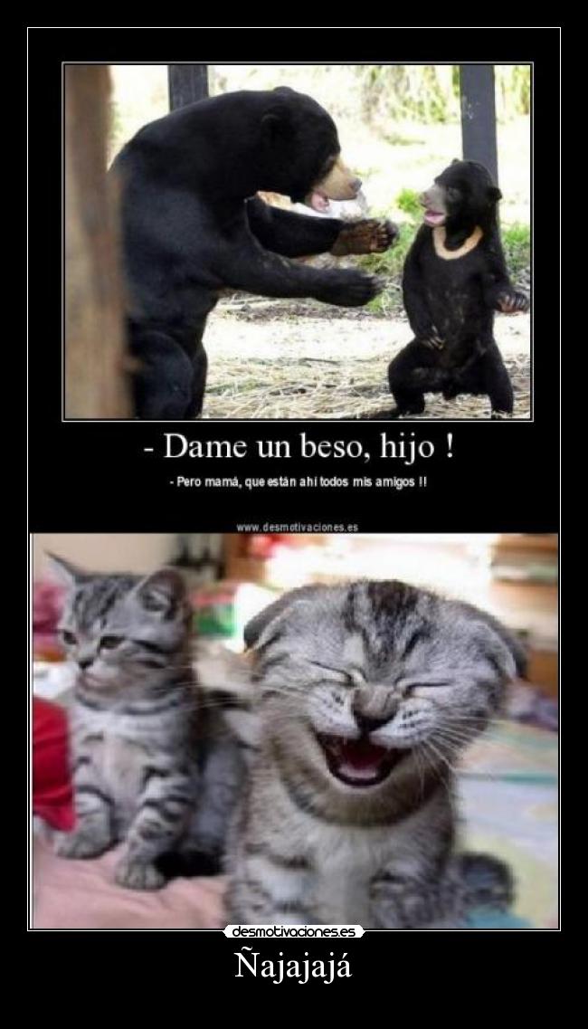 Ñajajajá - 