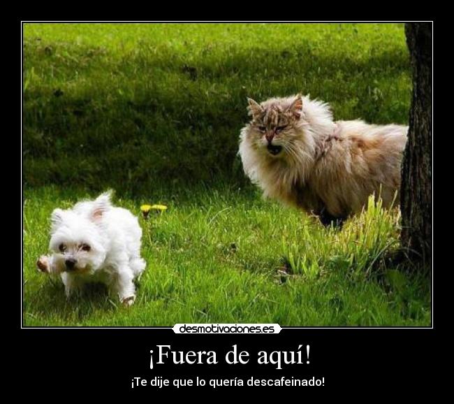 ¡Fuera de aquí! -