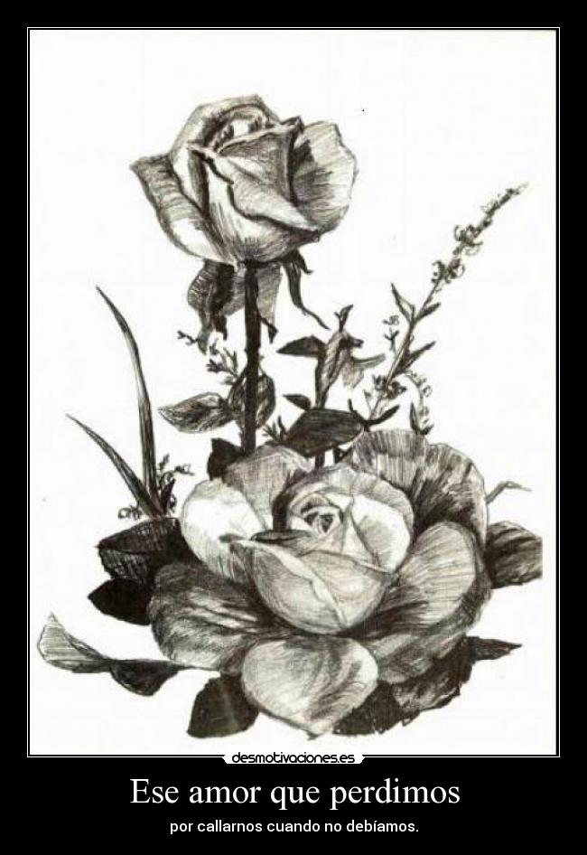 Ese amor que perdimos -