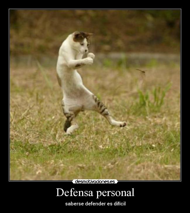 Defensa personal -