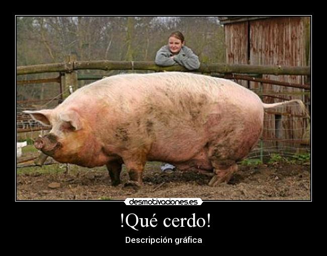 !Qué cerdo! - 